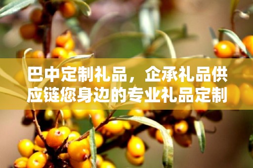 巴中定制礼品，企承礼品供应链您身边的专业礼品定制公司