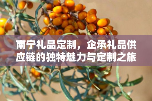 南宁礼品定制，企承礼品供应链的独特魅力与定制之旅
